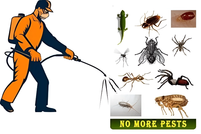 General Pest Control Services