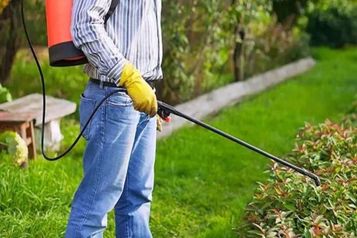 Herbal Pest Control Services